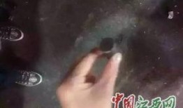 上饶网友爆料新闻,最新热点事件引发社会关注