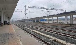 罗湖火车站爆料视频最新,现场实况引人关注