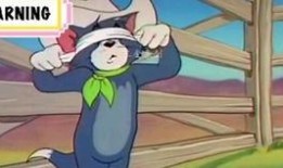 火影汤姆爆料视频下载安装,下载安装全攻略揭秘